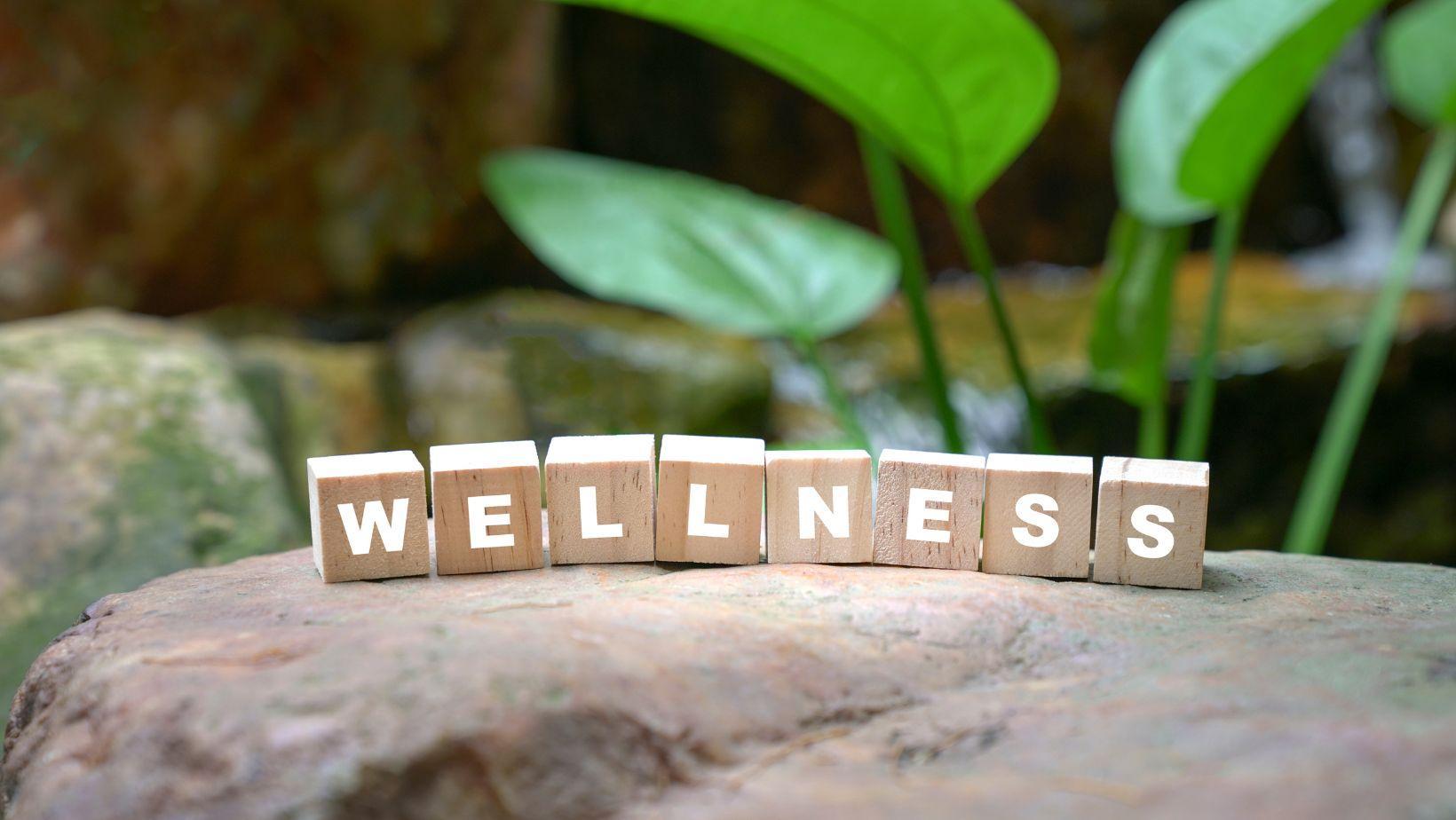 holistic plant remedies, post workout recovery, mental wellness support, natural recovery methods, herbal recovery solutions, plant-based health tips, holistic healing post exercise, mental health natural remedies, plant remedies fitness recovery, holistic wellness techniques